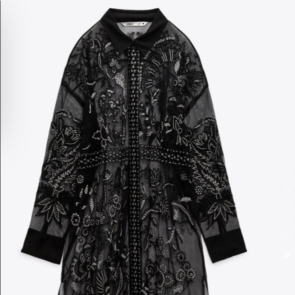 Zara Longline Embroidered Tulle Blouse